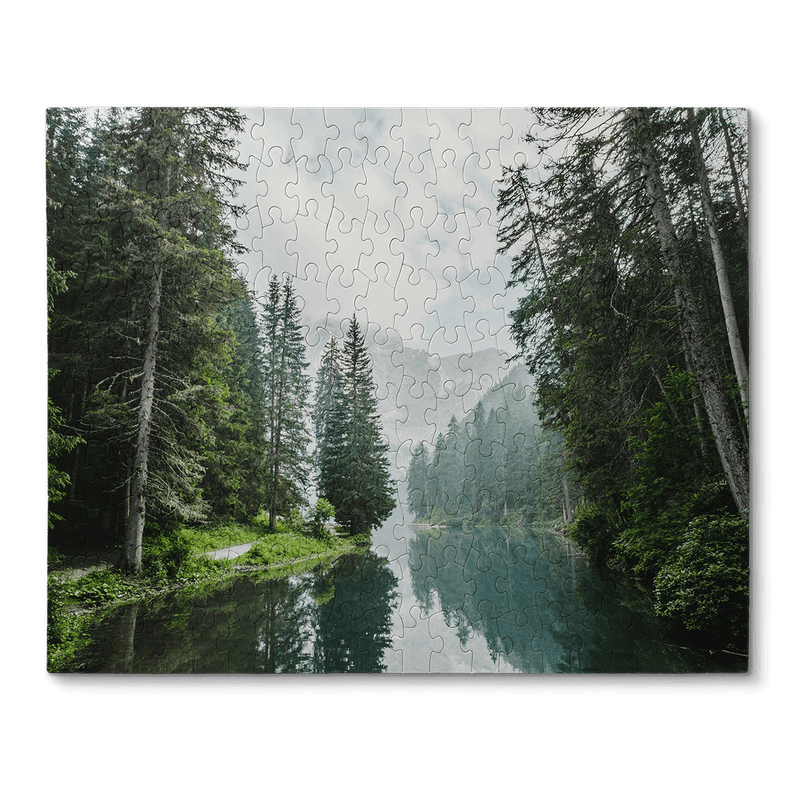 A picture of a forrest and water on a puzzle