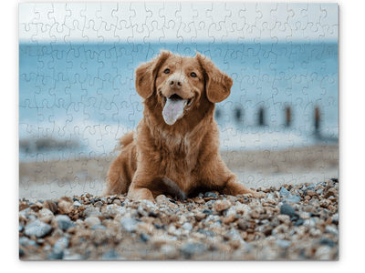 Cadeaux personnalisés pour les amoureux des chiens