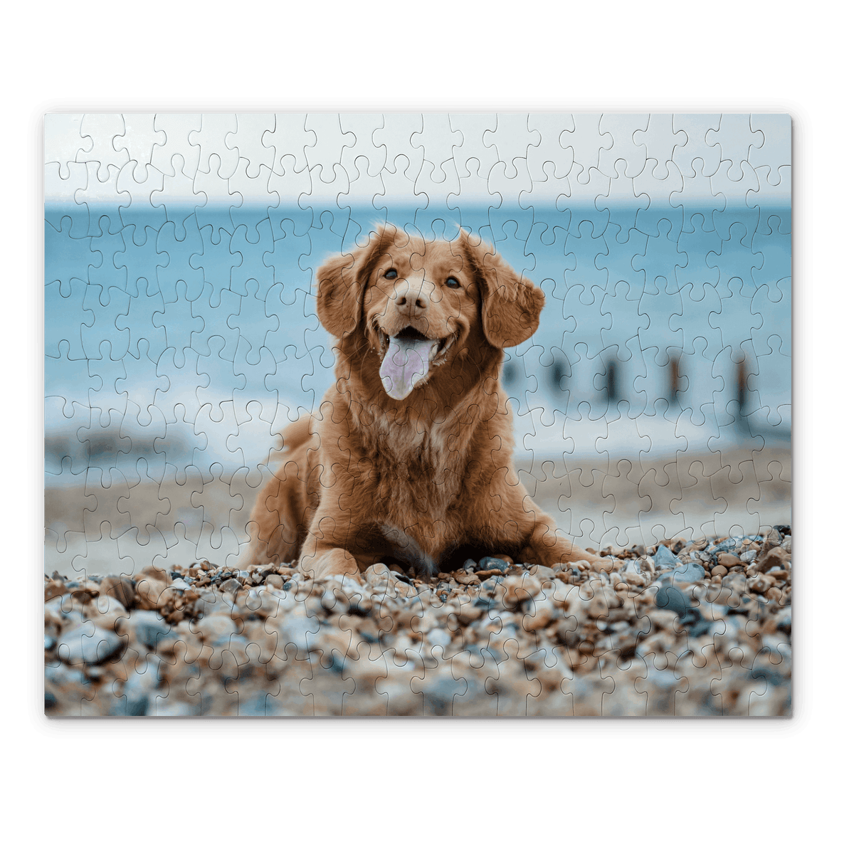 A dog on the beach featured on a custom jigsaw puzzle
