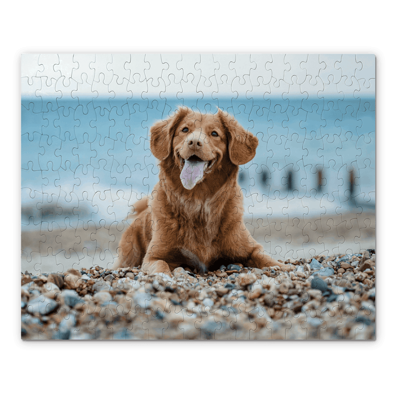 A dog on the beach featured on a custom jigsaw puzzle