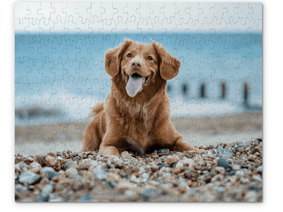 Personalized gifts for dog lovers