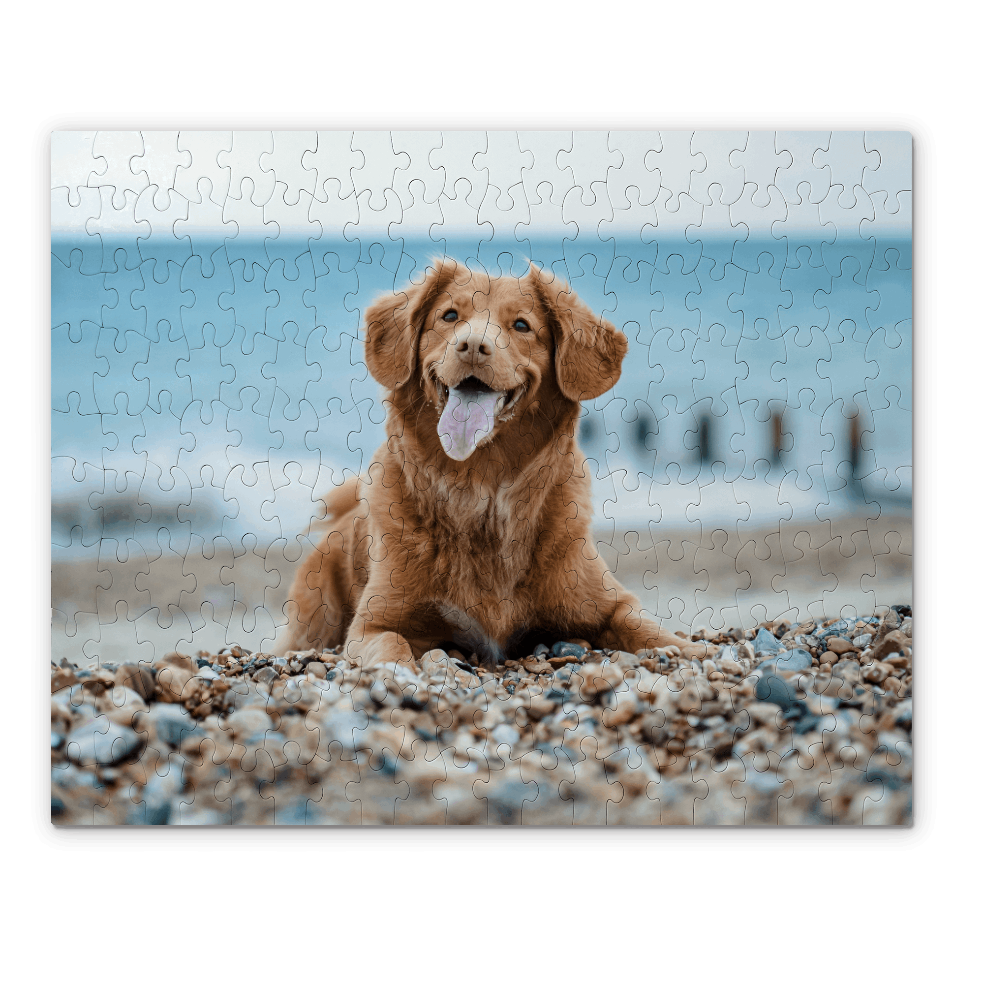 A dog on the beach featured on a custom jigsaw puzzle