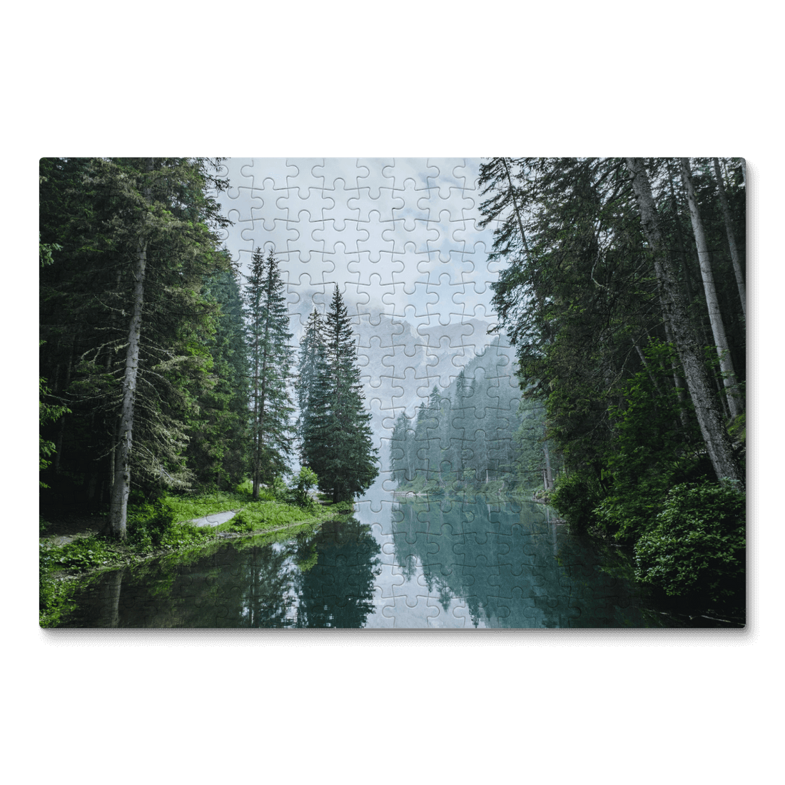 A picture of a forrest and water on a puzzle