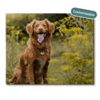 jigsaw puzzle with Nova Scotia Duck Tolling Retriever dog on it