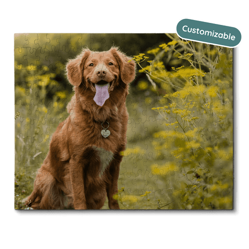 jigsaw puzzle with Nova Scotia Duck Tolling Retriever dog on it