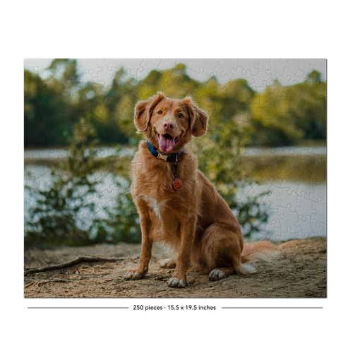 A completed jigsaw puzzle featuring a golden retriever dog sitting outdoors near water and trees, shown on a white background with the text '250 pieces · 15.5 x 19.5 inches'.