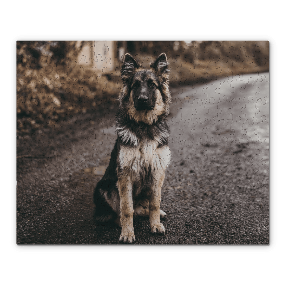 A custom jigsaw puzzle featuring a German Shepherd