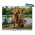 A custom jigsaw puzzle featuring a golden retriever dog sitting on a sandy shore with a lake and trees in the background. The puzzle is displayed on a black background with a 'Customizable' badge in the top right and a piece count label at the bottom.