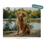 A custom jigsaw puzzle featuring a golden retriever dog sitting on a sandy shore with a lake and trees in the background. The puzzle is displayed on a black background with a 'Customizable' badge in the top right and a piece count label at the bottom.