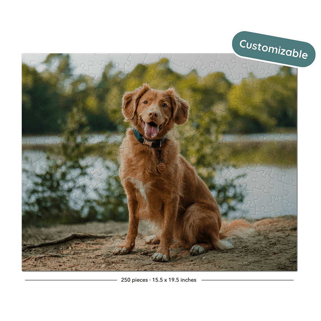 A custom jigsaw puzzle featuring a golden retriever dog sitting on a sandy shore with a lake and trees in the background. The puzzle is displayed on a black background with a 'Customizable' badge in the top right and a piece count label at the bottom.